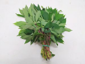 manfaat daun singkong untuk ibu hamil
