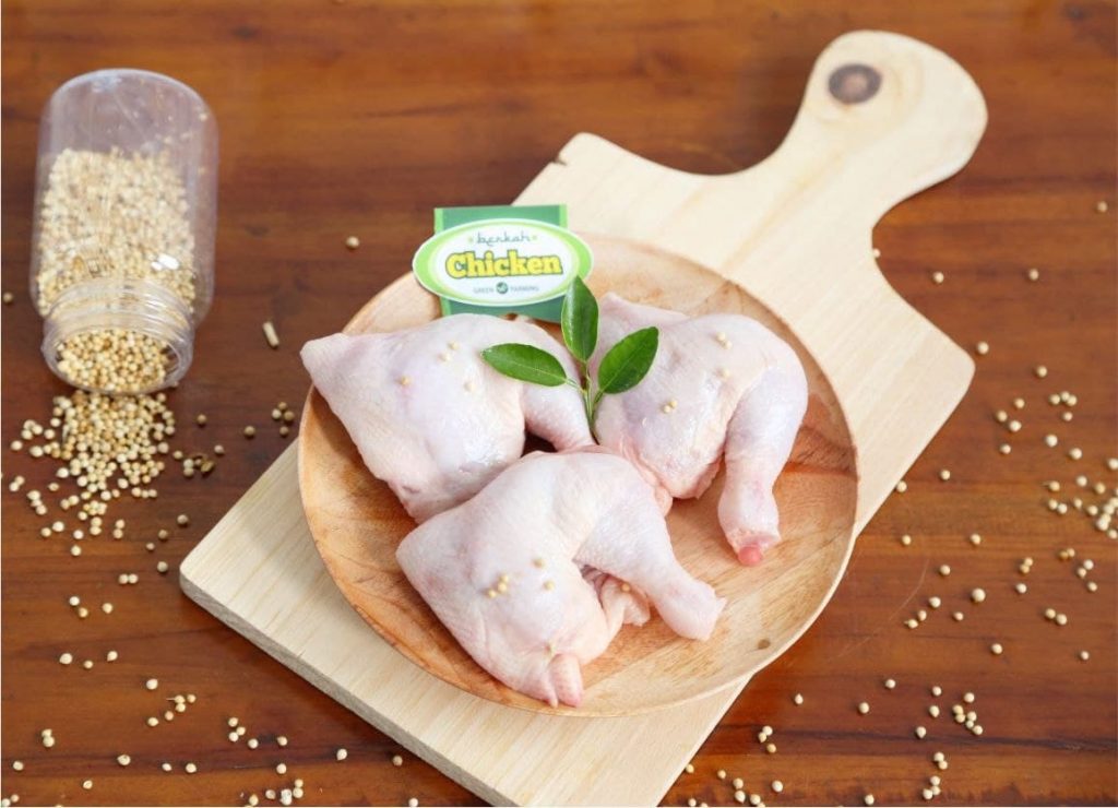 harga ayam organik