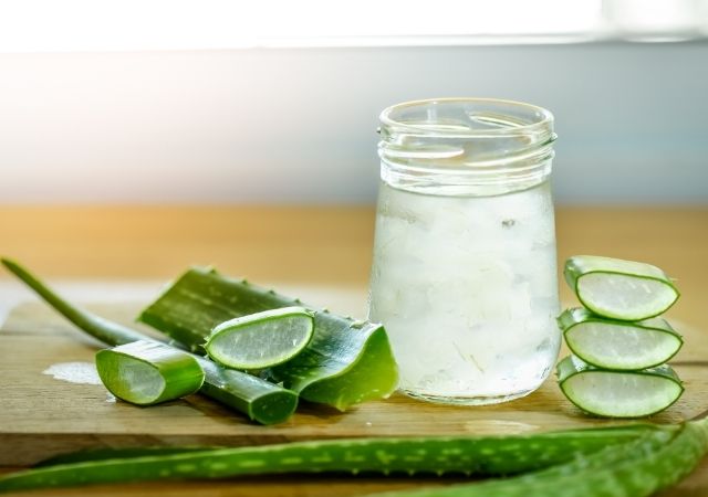 cara mengolah lidah buaya menjadi nata de coco
