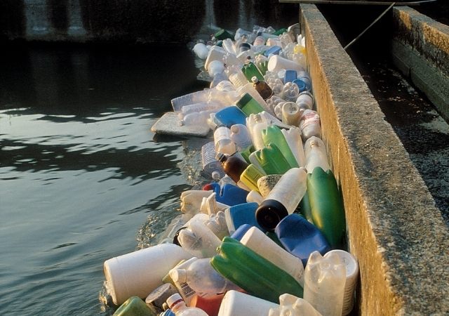 bahaya mikroplastik