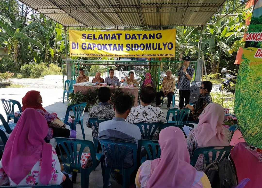 aktivitas gapoktan sidomulyo