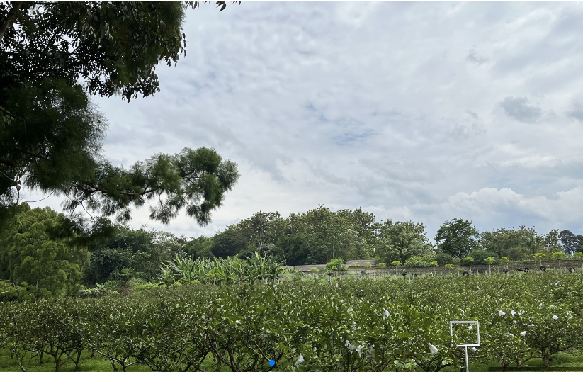 kebun ATP IPB di Cikarawang